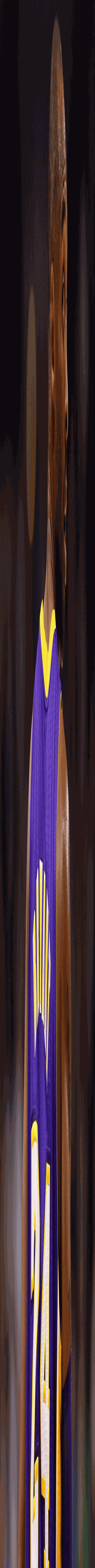 44bc79c3eba63113